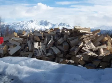 [Hearth.com] Splitting wood on carpet, frozen wood/ pics