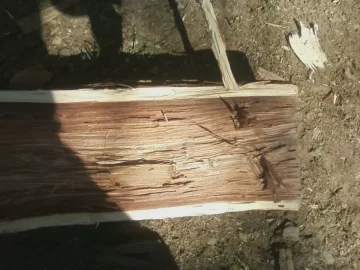 [Hearth.com] Wood idea please!