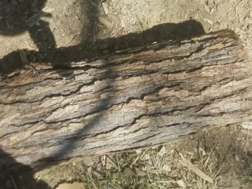 [Hearth.com] Wood idea please!