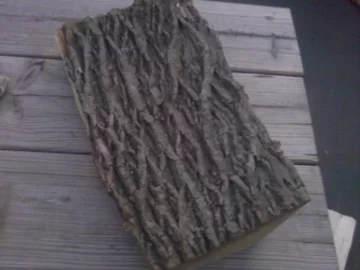 [Hearth.com] Tree ID help