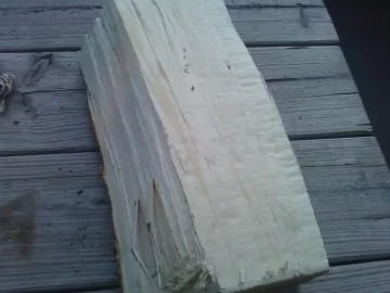 [Hearth.com] Tree ID help