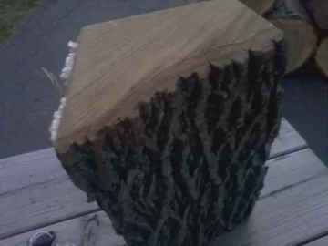 [Hearth.com] Tree ID help