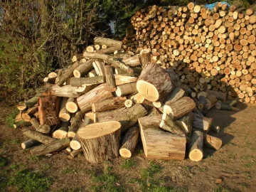 [Hearth.com] My latest progress