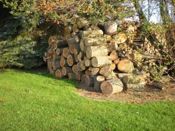 [Hearth.com] My latest progress