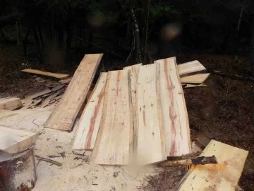 [Hearth.com] Milling Done Today