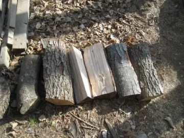 [Hearth.com] Wood ID
