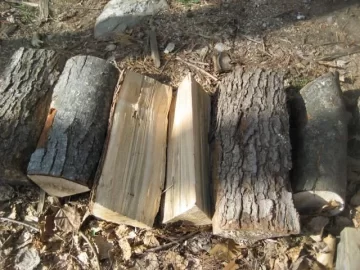 [Hearth.com] Wood ID