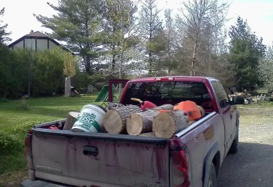 [Hearth.com] Cut Some ash today