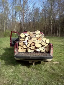 [Hearth.com] Cut Some ash today
