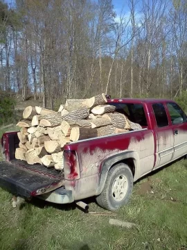 [Hearth.com] Cut Some ash today