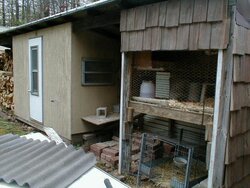 new chicken coop build...