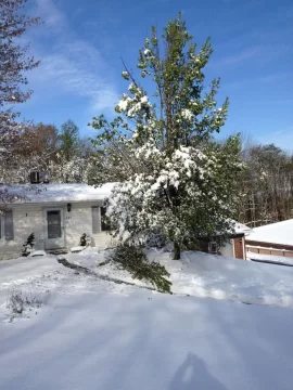 [Hearth.com] Nor'Easter on it's way.....