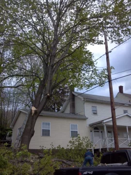 [Hearth.com] big ugly norway maple is DOWN...
