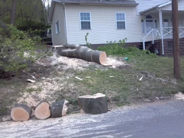 [Hearth.com] big ugly norway maple is DOWN...