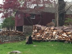 My humble and messy woodpile