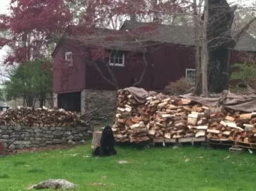 [Hearth.com] My humble and messy woodpile
