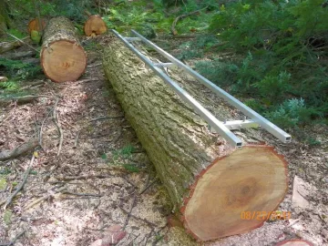 [Hearth.com] Cleared a new trail