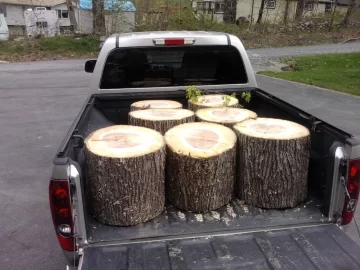 [Hearth.com] Shoulder season wood? (Wood ID)