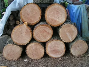 [Hearth.com] Black Cherry!!! Great CL score today