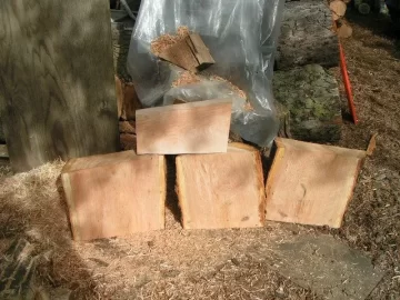 [Hearth.com] Black Cherry!!! Great CL score today