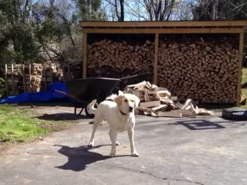 [Hearth.com] pictures of your woodshed