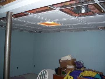 [Hearth.com] Type of bulbs to use in a suspended ceiling
