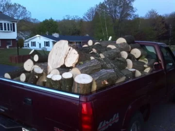 [Hearth.com] silver maple (maximum overload!)
