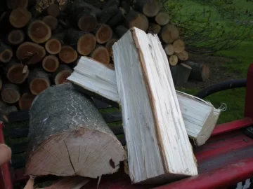 [Hearth.com] Need a wood ID