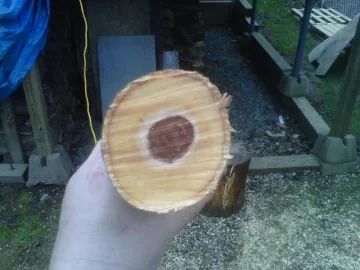 [Hearth.com] my first scrounge/free wood