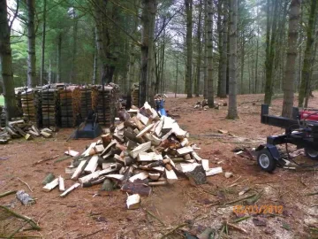 [Hearth.com] Splitting Done Today