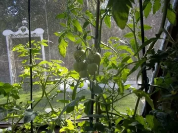 [Hearth.com] Nope, no sense to planting early!