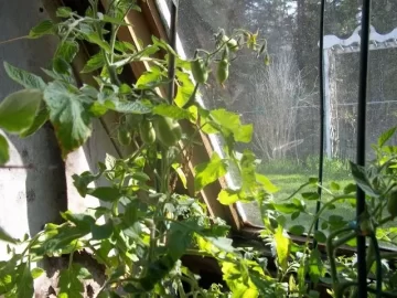 [Hearth.com] Nope, no sense to planting early!