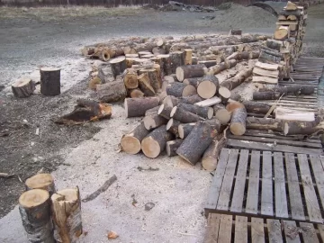 [Hearth.com] Found a lucky scrounge today.