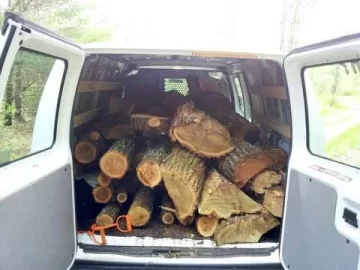 [Hearth.com] Pick-up or van