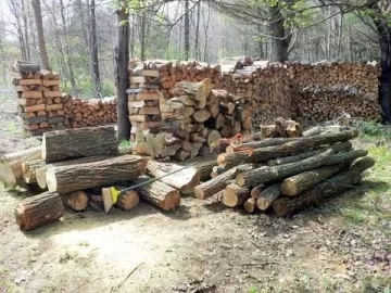 [Hearth.com] Not a true scrounge...