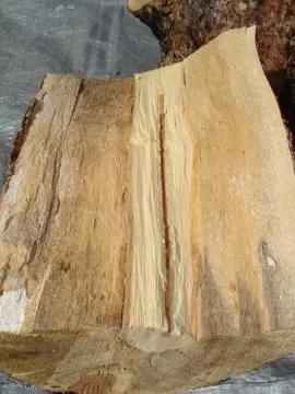 [Hearth.com] Is This Wood Worth It To Burn?