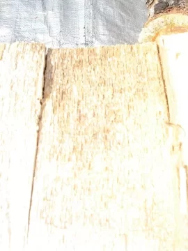 [Hearth.com] Is This Wood Worth It To Burn?