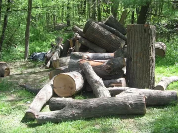 [Hearth.com] This is how we spent our Sunday.