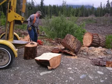 [Hearth.com] Need recomendation for gas woodsplitter