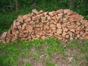[Hearth.com] Not just an ash man