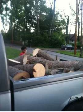 [Hearth.com] Pick Up Truck Load of Maple - Thanks Power Company -2 More Truck Loads