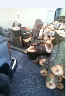 [Hearth.com] Pick Up Truck Load of Maple - Thanks Power Company -2 More Truck Loads