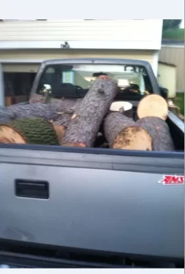 [Hearth.com] Pick Up Truck Load of Maple - Thanks Power Company -2 More Truck Loads