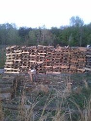 Wood lot management (Ash?) and more BL C/S/S