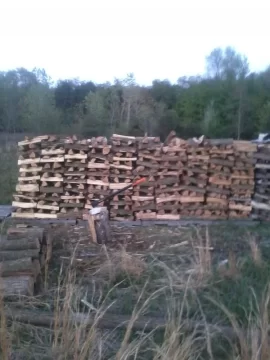 [Hearth.com] Wood lot management (Ash?) and more BL C/S/S