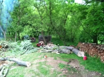 [Hearth.com] Dropped a few silver maples