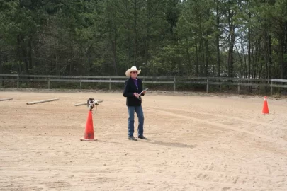 [Hearth.com] Judging A Horse Show Sunday..