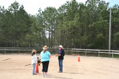 [Hearth.com] Judging A Horse Show Sunday..