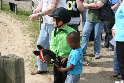 [Hearth.com] Judging A Horse Show Sunday..