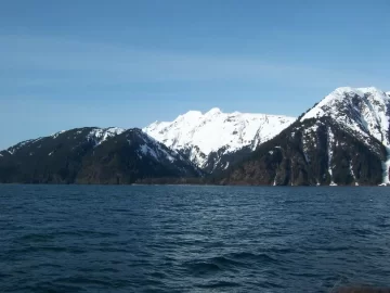 [Hearth.com] 4th grade Seward boat trip